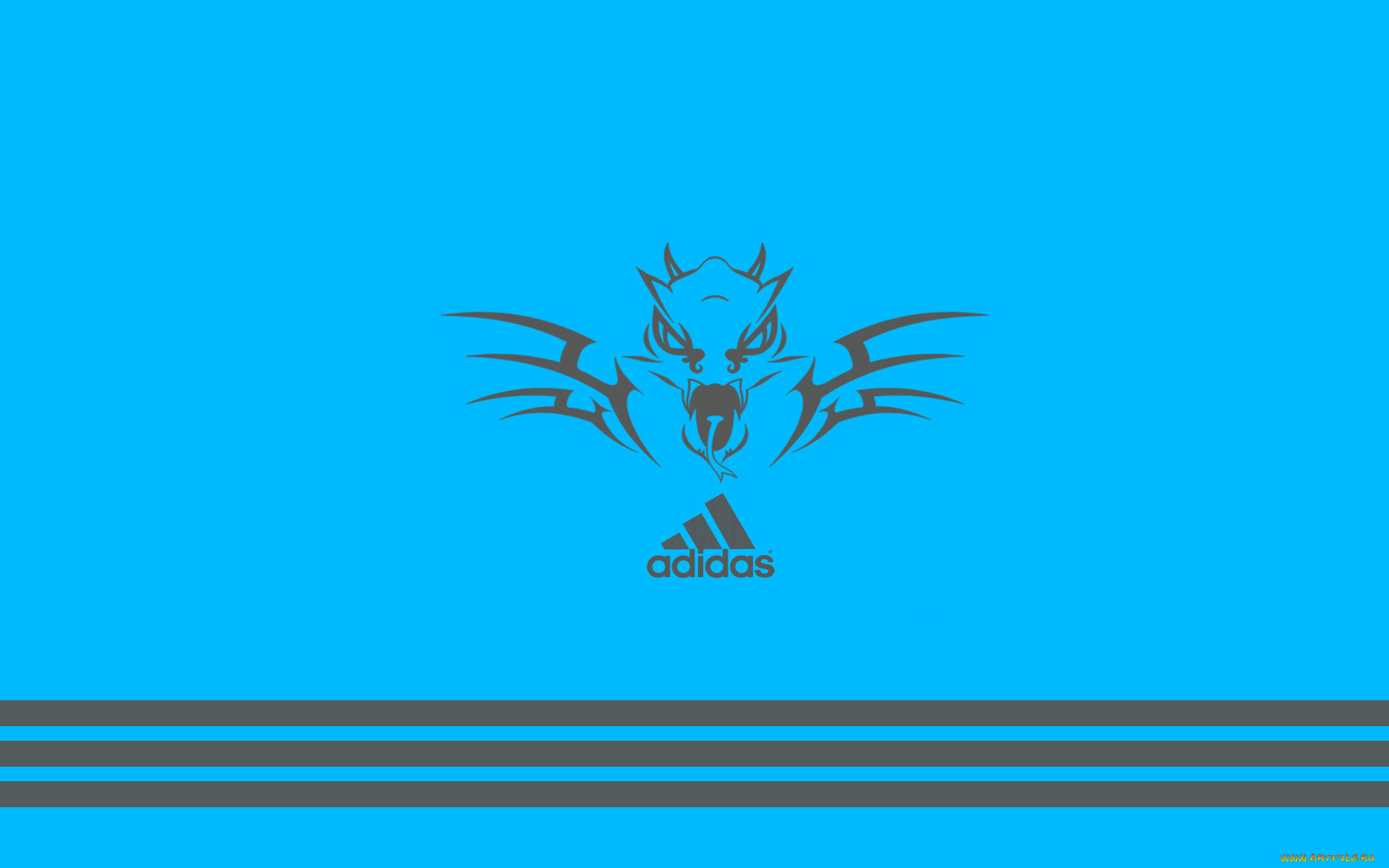 , adidas, 